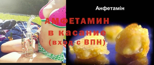 амф Алексин