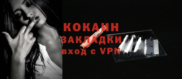амф Алексин