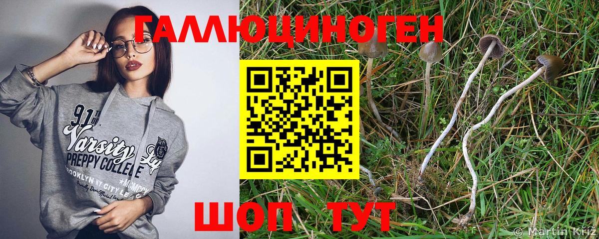 Псилоцибиновые грибы ЛСД  Вход с VPN  Евпатория 