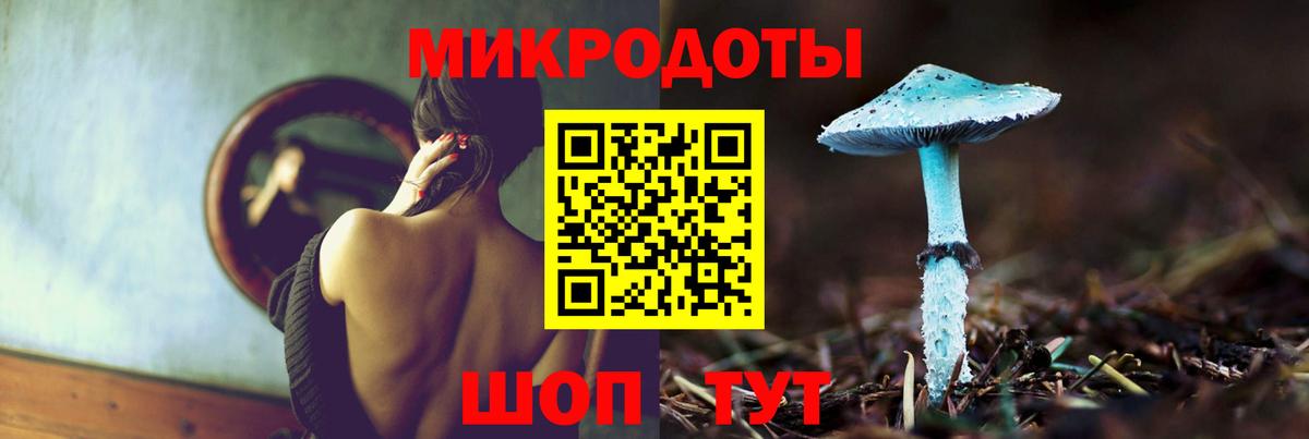 Галлюциногенные грибы Psilocybine cubensis Евпатория